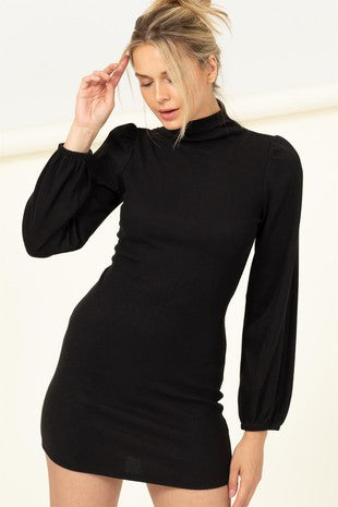 Long Sleeve Turtleneck Bodycon Mini Dress - Black Black / Medium Long Sleeve Turtleneck Bodycon Mini Dress - Black Black / Medium
